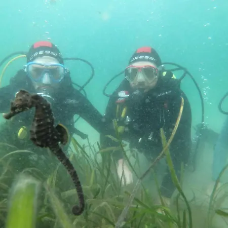 Ria De Aldan Apart-hotel 4*