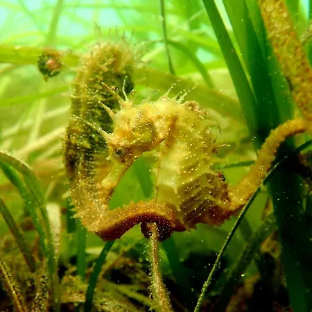 Apart-hotel Ria De Aldan 4*