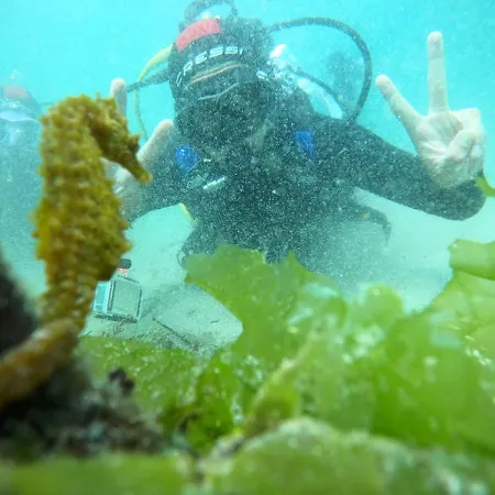 Ria De Aldan Appart hôtel