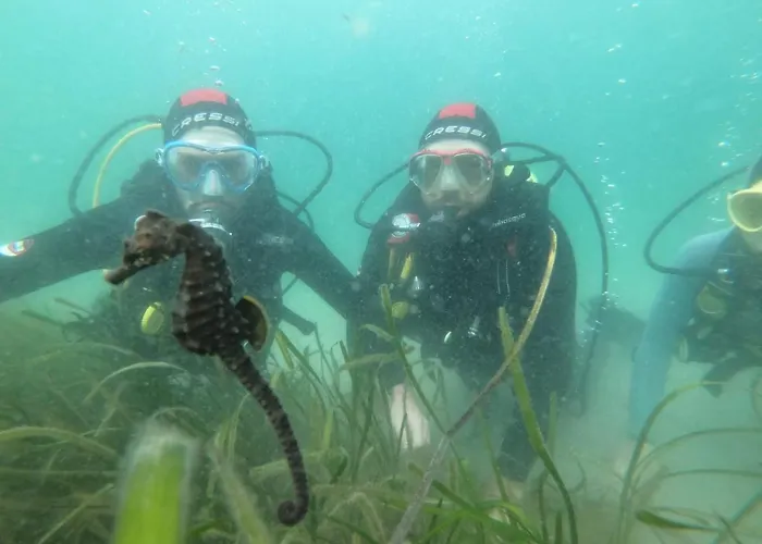 Ria De Apart Otel 4*